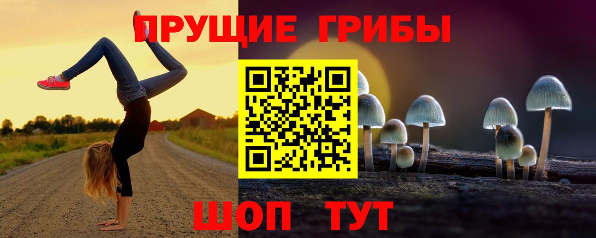 Галлюциногенные грибы Magic Shrooms  хочу   Вход с VPN  Медногорск  Псилоцибиновые грибы Psilocybine cubensis 
